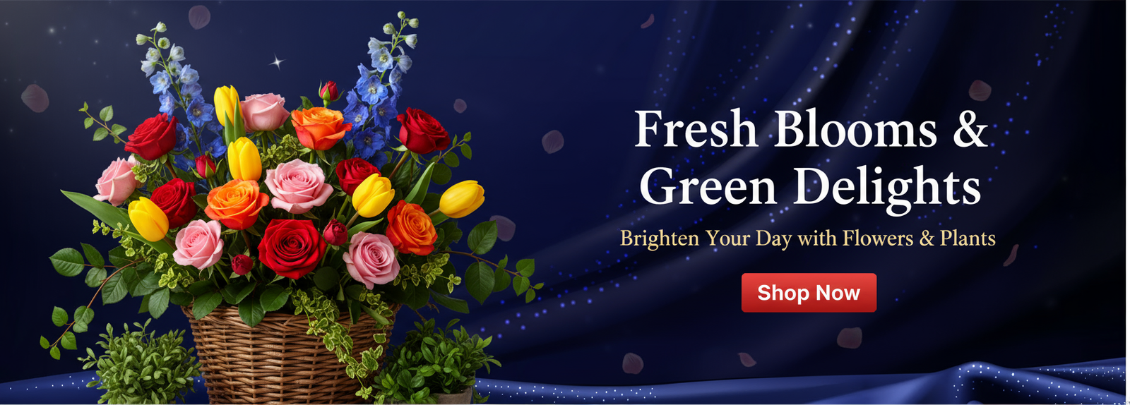 Rose N Petals | Buy Flowers, Plants & Gifts Online Delhi